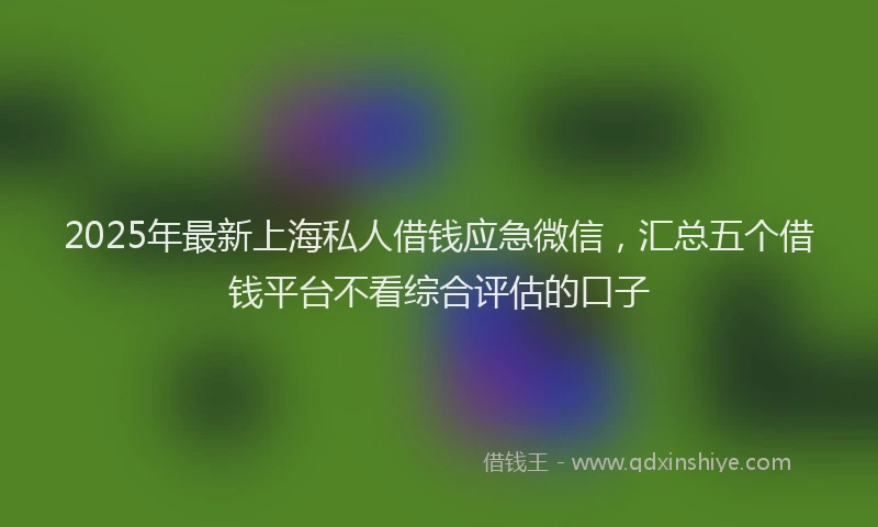 2025年最新上海私人借钱应急微信，汇总五个借钱平台不看综合评估的口子