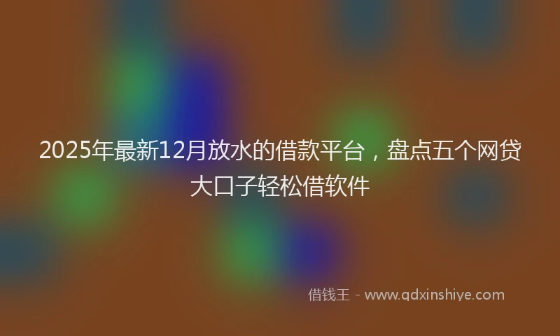2025年最新12月放水的借款平台，盘点五个网贷大口子轻松借软件