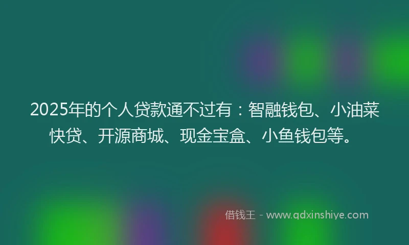 2025年的个人贷款通不过有：智融钱包、小油菜快贷、开源商城、现金宝盒、小鱼钱包等。