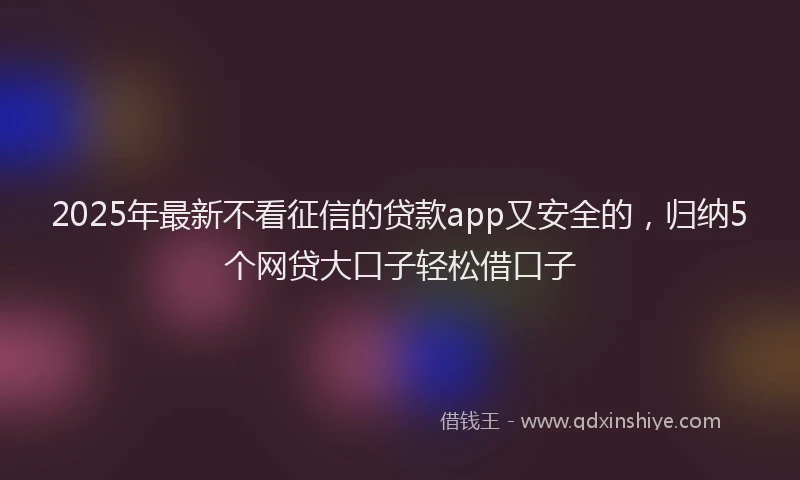 2025年最新不看征信的贷款app又安全的，归纳5个网贷大口子轻松借口子