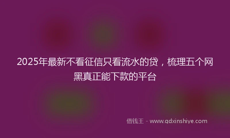2025年最新不看征信只看流水的贷，梳理五个网黑真正能下款的平台