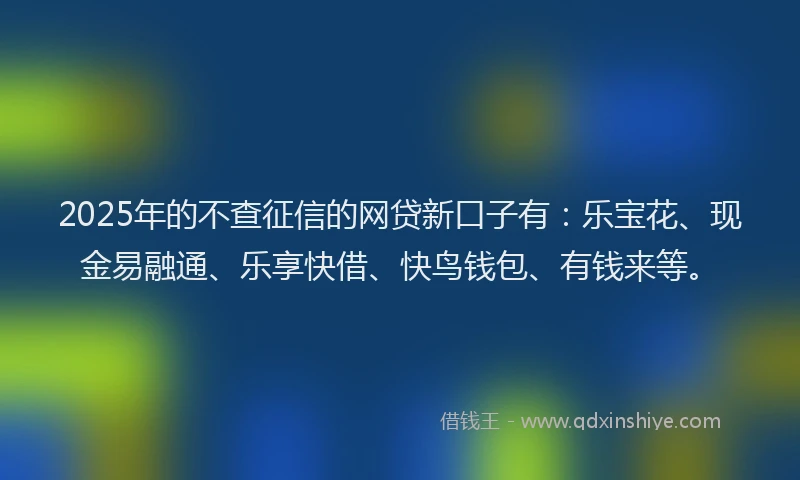 2025年的不查征信的网贷新口子有：乐宝花、现金易融通、乐享快借、快鸟钱包、有钱来等。
