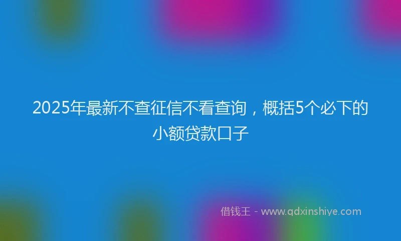 2025年最新不查征信不看查询，概括5个必下的小额贷款口子