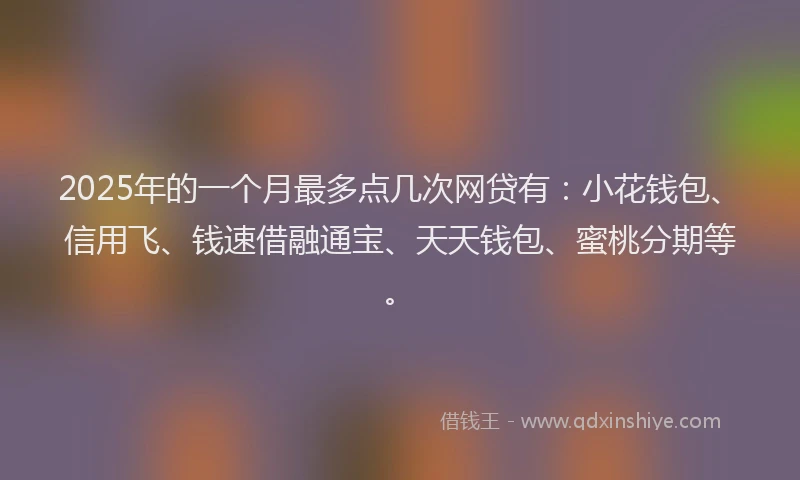2025年的一个月最多点几次网贷有：小花钱包、信用飞、钱速借融通宝、天天钱包、蜜桃分期等。