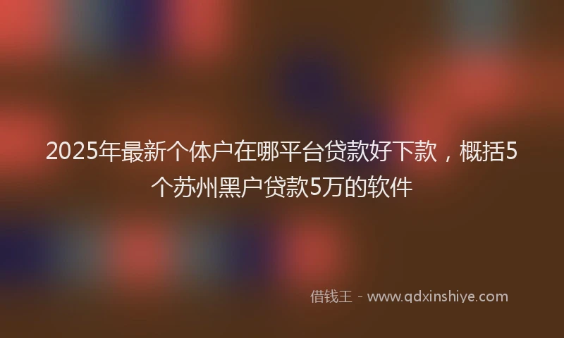 2025年最新个体户在哪平台贷款好下款，概括5个苏州黑户贷款5万的软件