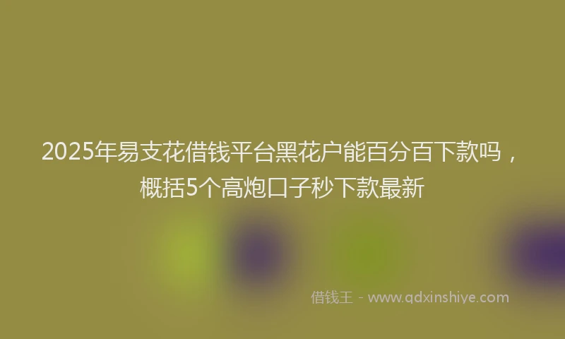 2025年易支花借钱平台黑花户能百分百下款吗，概括5个高炮口子秒下款最新