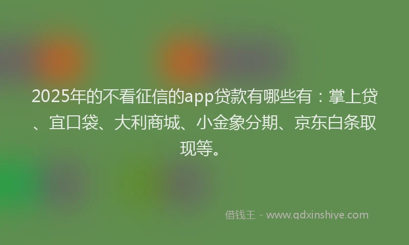 2025年的不看征信的app贷款有哪些有：掌上贷、宜口袋、大利商城、小金象分期、京东白条取现等。