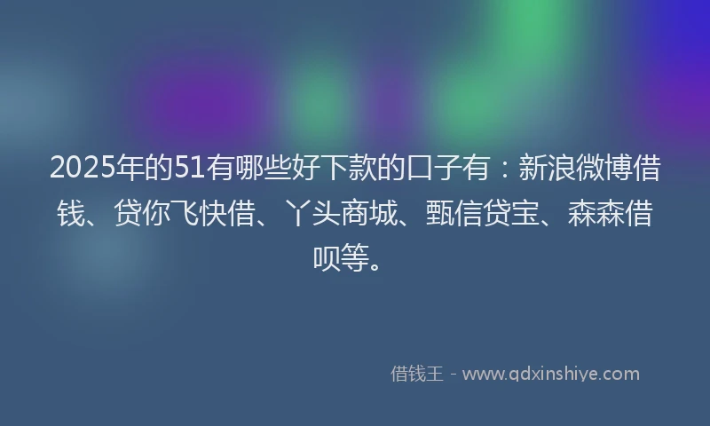 2025年的51有哪些好下款的口子有：新浪微博借钱、贷你飞快借、丫头商城、甄信贷宝、森森借呗等。