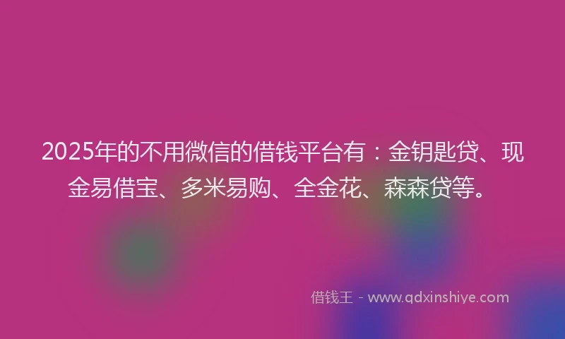 2025年的不用微信的借钱平台有：金钥匙贷、现金易借宝、多米易购、全金花、森森贷等。