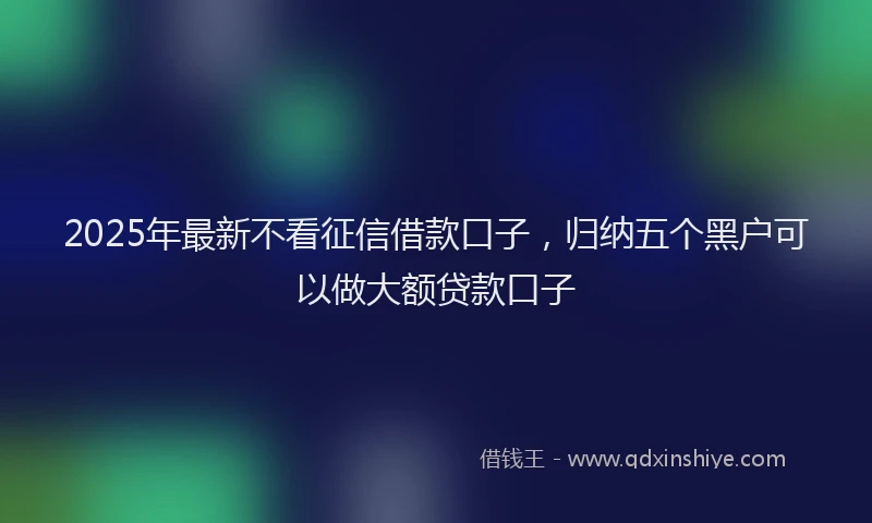 2025年最新不看征信借款口子，归纳五个黑户可以做大额贷款口子