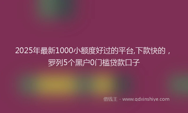 2025年最新1000小额度好过的平台,下款快的，罗列5个黑户0门槛贷款口子