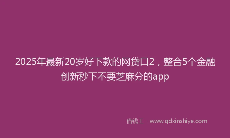 2025年最新20岁好下款的网贷口2，整合5个金融创新秒下不要芝麻分的app