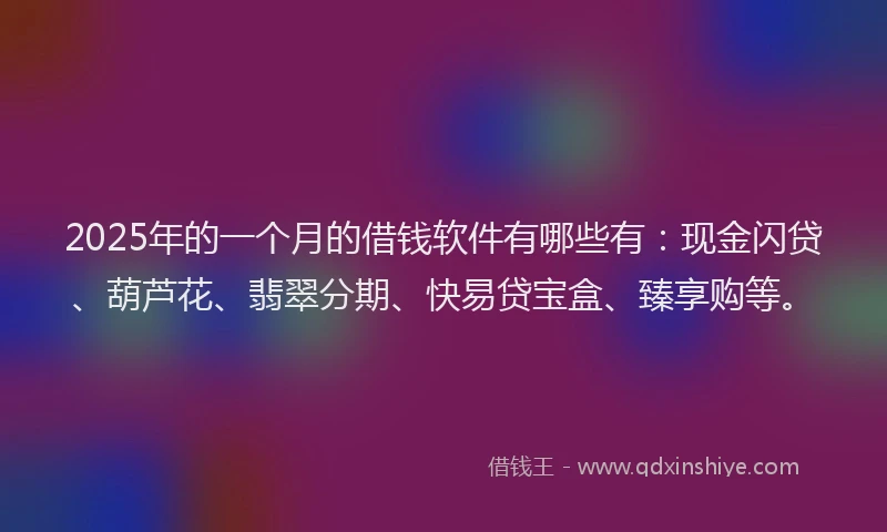 2025年的一个月的借钱软件有哪些有：现金闪贷、葫芦花、翡翠分期、快易贷宝盒、臻享购等。