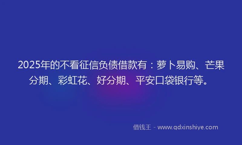 2025年的不看征信负债借款有：萝卜易购、芒果分期、彩虹花、好分期、平安口袋银行等。