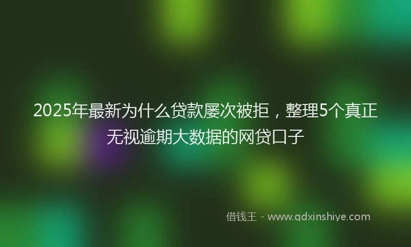 2025年最新为什么贷款屡次被拒，整理5个真正无视逾期大数据的网贷口子