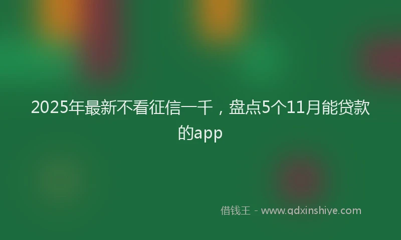 2025年最新不看征信一千，盘点5个11月能贷款的app
