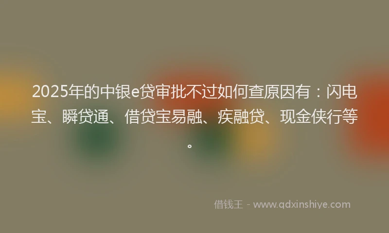 2025年的中银e贷审批不过如何查原因有：闪电宝、瞬贷通、借贷宝易融、疾融贷、现金侠行等。