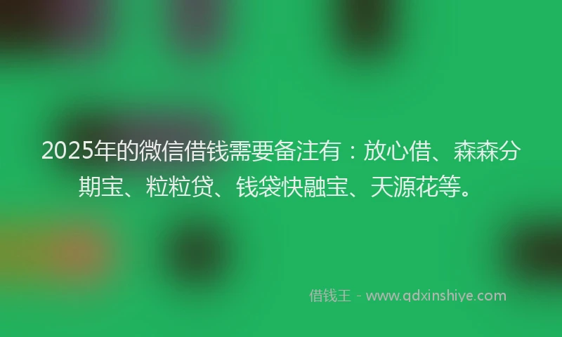 2025年的微信借钱需要备注有：放心借、森森分期宝、粒粒贷、钱袋快融宝、天源花等。
