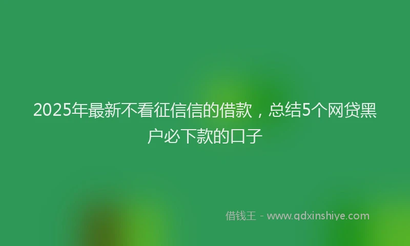 2025年最新不看征信信的借款，总结5个网贷黑户必下款的口子