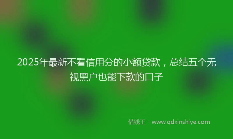 2025年最新不看信用分的小额贷款，总结五个无视黑户也能下款的口子