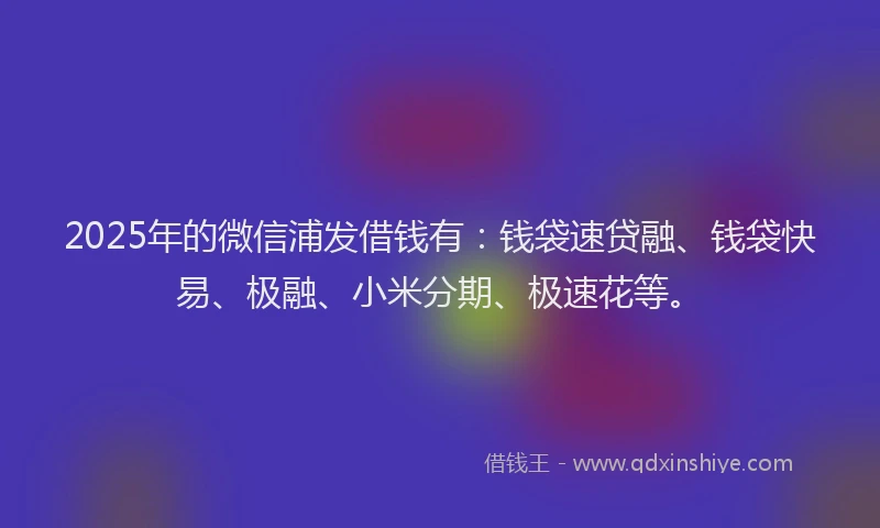 2025年的微信浦发借钱有：钱袋速贷融、钱袋快易、极融、小米分期、极速花等。