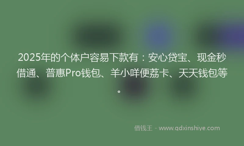 2025年的个体户容易下款有：安心贷宝、现金秒借通、普惠Pro钱包、羊小咩便荔卡、天天钱包等。