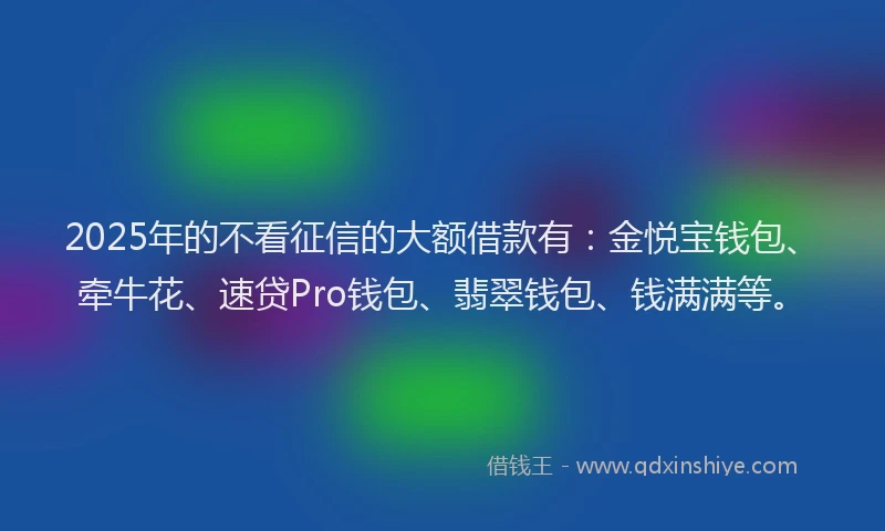 2025年的不看征信的大额借款有：金悦宝钱包、牵牛花、速贷Pro钱包、翡翠钱包、钱满满等。