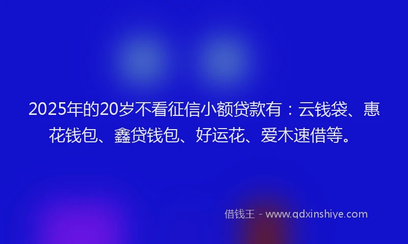 2025年的20岁不看征信小额贷款有：云钱袋、惠花钱包、鑫贷钱包、好运花、爱木速借等。