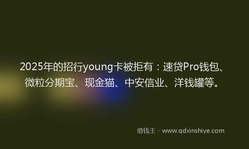2025年的招行young卡被拒有：速贷Pro钱包、微粒分期宝、现金猫、中安信业、洋钱罐等。