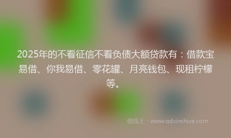 2025年的不看征信不看负债大额贷款有：借款宝易借、你我易借、零花罐、月亮钱包、现租柠檬等。