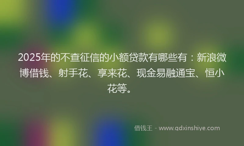 2025年的不查征信的小额贷款有哪些有：新浪微博借钱、射手花、享来花、现金易融通宝、恒小花等。