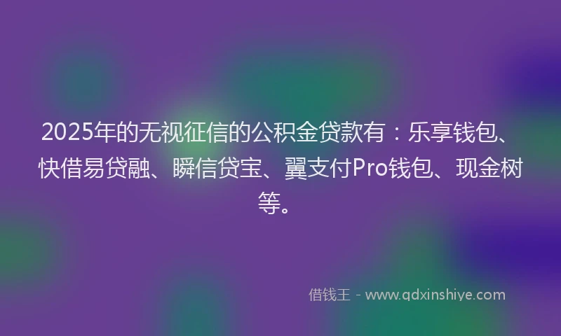 2025年的无视征信的公积金贷款有：乐享钱包、快借易贷融、瞬信贷宝、翼支付Pro钱包、现金树等。