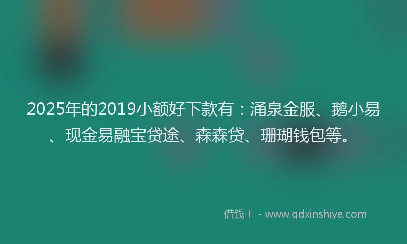 2025年的2019小额好下款有：涌泉金服、鹅小易、现金易融宝贷途、森森贷、珊瑚钱包等。