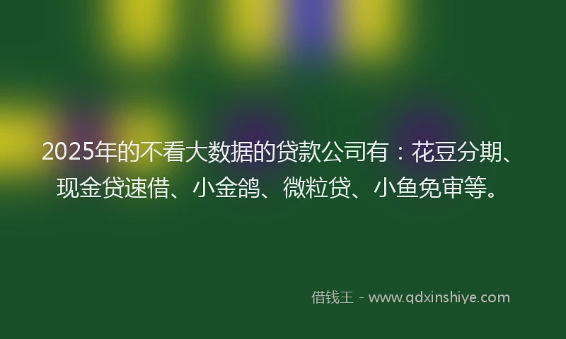 2025年的不看大数据的贷款公司有：花豆分期、现金贷速借、小金鸽、微粒贷、小鱼免审等。
