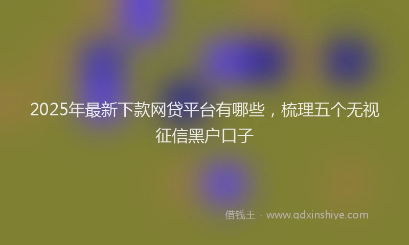 2025年最新下款网贷平台有哪些，梳理五个无视征信黑户口子