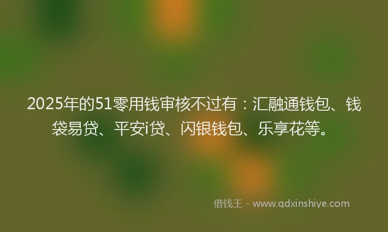 2025年的51零用钱审核不过有：汇融通钱包、钱袋易贷、平安i贷、闪银钱包、乐享花等。