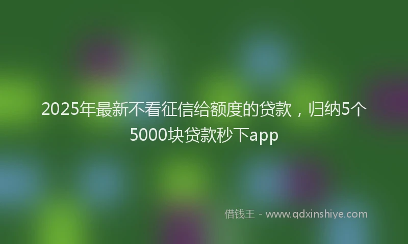 2025年最新不看征信给额度的贷款，归纳5个5000块贷款秒下app