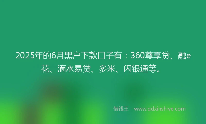 2025年的6月黑户下款口子有：360尊享贷、融e花、滴水易贷、多米、闪银通等。