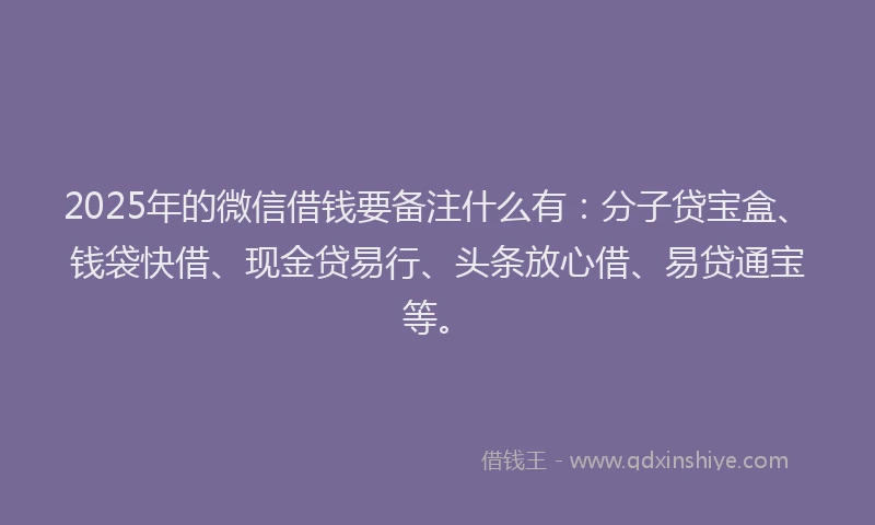 2025年的微信借钱要备注什么有：分子贷宝盒、钱袋快借、现金贷易行、头条放心借、易贷通宝等。