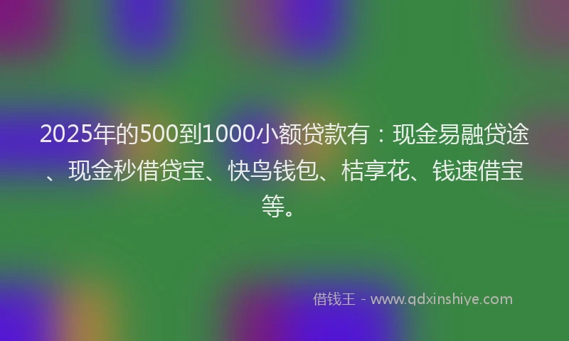 2025年的500到1000小额贷款有：现金易融贷途、现金秒借贷宝、快鸟钱包、桔享花、钱速借宝等。