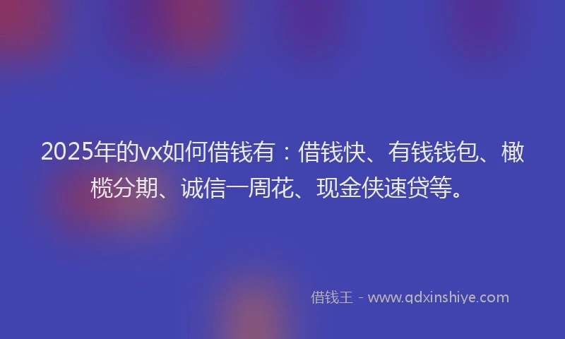 2025年的vx如何借钱有：借钱快、有钱钱包、橄榄分期、诚信一周花、现金侠速贷等。