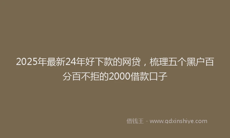 2025年最新24年好下款的网贷，梳理五个黑户百分百不拒的2000借款口子
