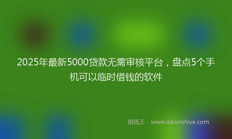 2025年最新5000贷款无需审核平台，盘点5个手机可以临时借钱的软件