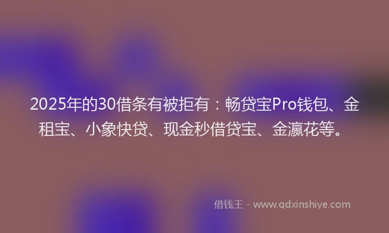 2025年的30借条有被拒有：畅贷宝Pro钱包、金租宝、小象快贷、现金秒借贷宝、金瀛花等。