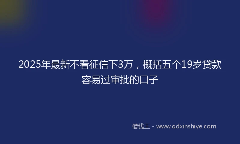 2025年最新不看征信下3万，概括五个19岁贷款容易过审批的口子