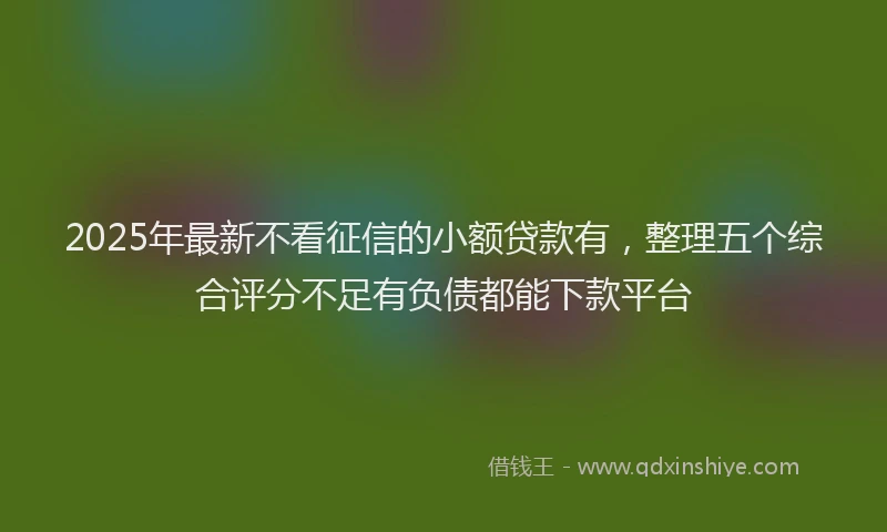2025年最新不看征信的小额贷款有，整理五个综合评分不足有负债都能下款平台