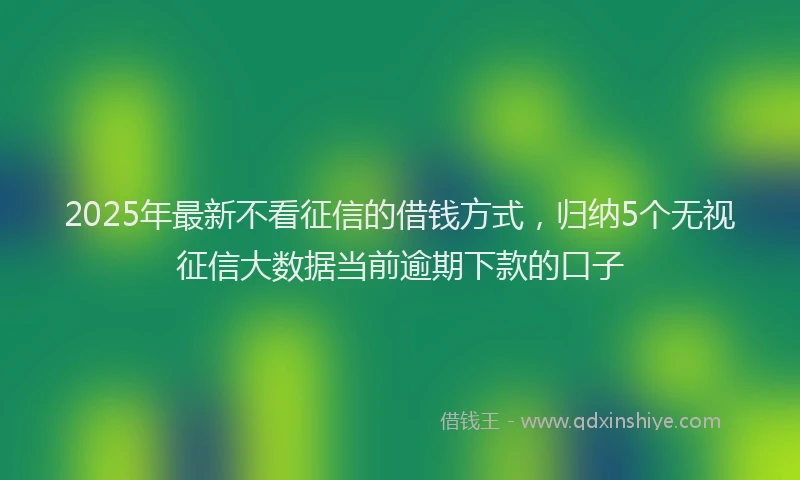 2025年最新不看征信的借钱方式，归纳5个无视征信大数据当前逾期下款的口子