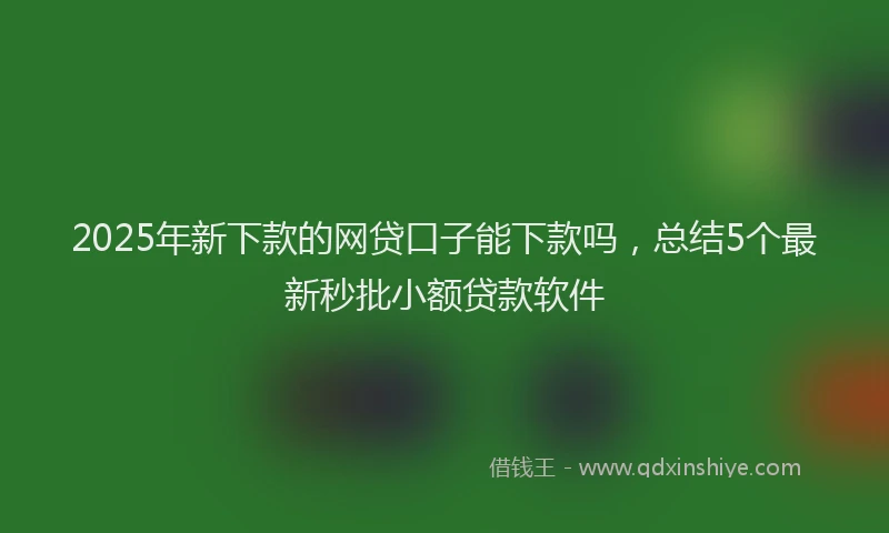 2025年新下款的网贷口子能下款吗，总结5个最新秒批小额贷款软件