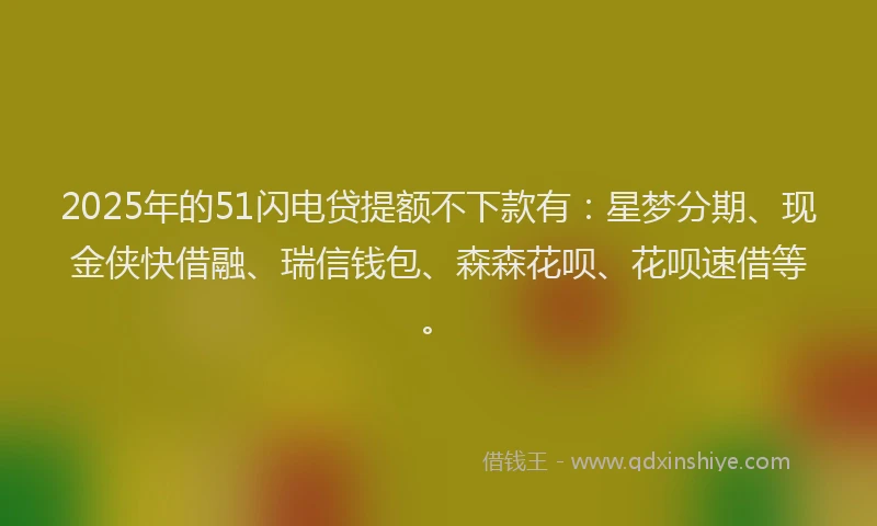 2025年的51闪电贷提额不下款有：星梦分期、现金侠快借融、瑞信钱包、森森花呗、花呗速借等。