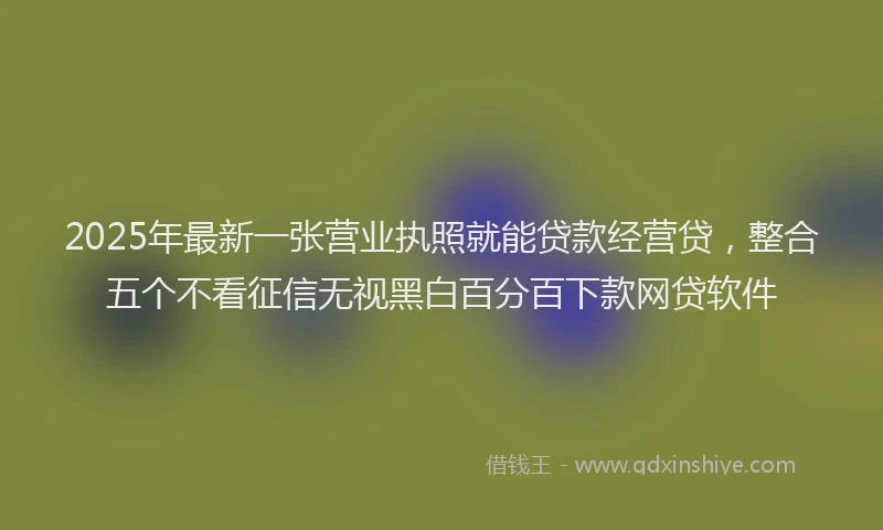 2025年最新一张营业执照就能贷款经营贷，整合五个不看征信无视黑白百分百下款网贷软件